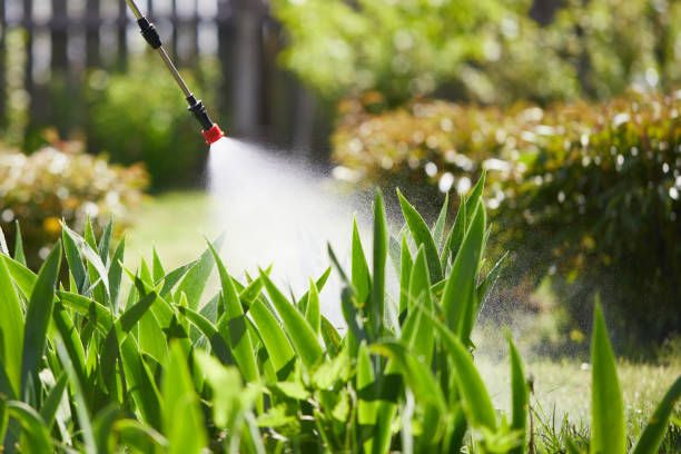 24/7 Emergency Wasp Removal experts in Grove Hill, AL