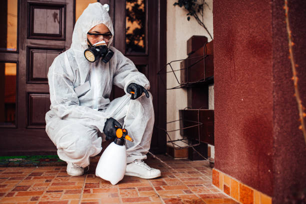 Reliable Wasp Removal contractor in Grove Hill, AL by Show Me Pest Control